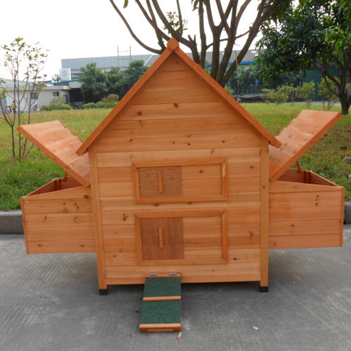 Front view of hen house with ramp and open nesting box lids