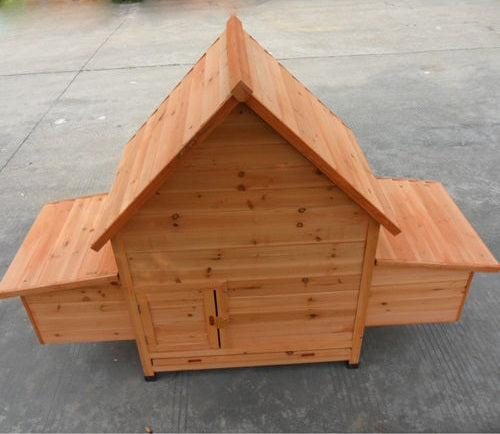 Back view of a wooden hen house with nesting boxes