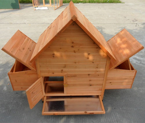 Hen house with open lids on nesting boxes