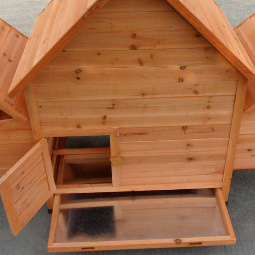 Hen house showing pulled out slide-out tray for easy cleaning