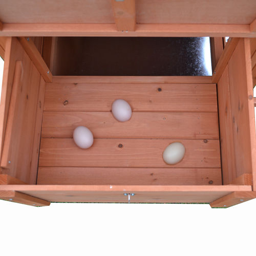 Midi Chicken Coop and Run Combo
