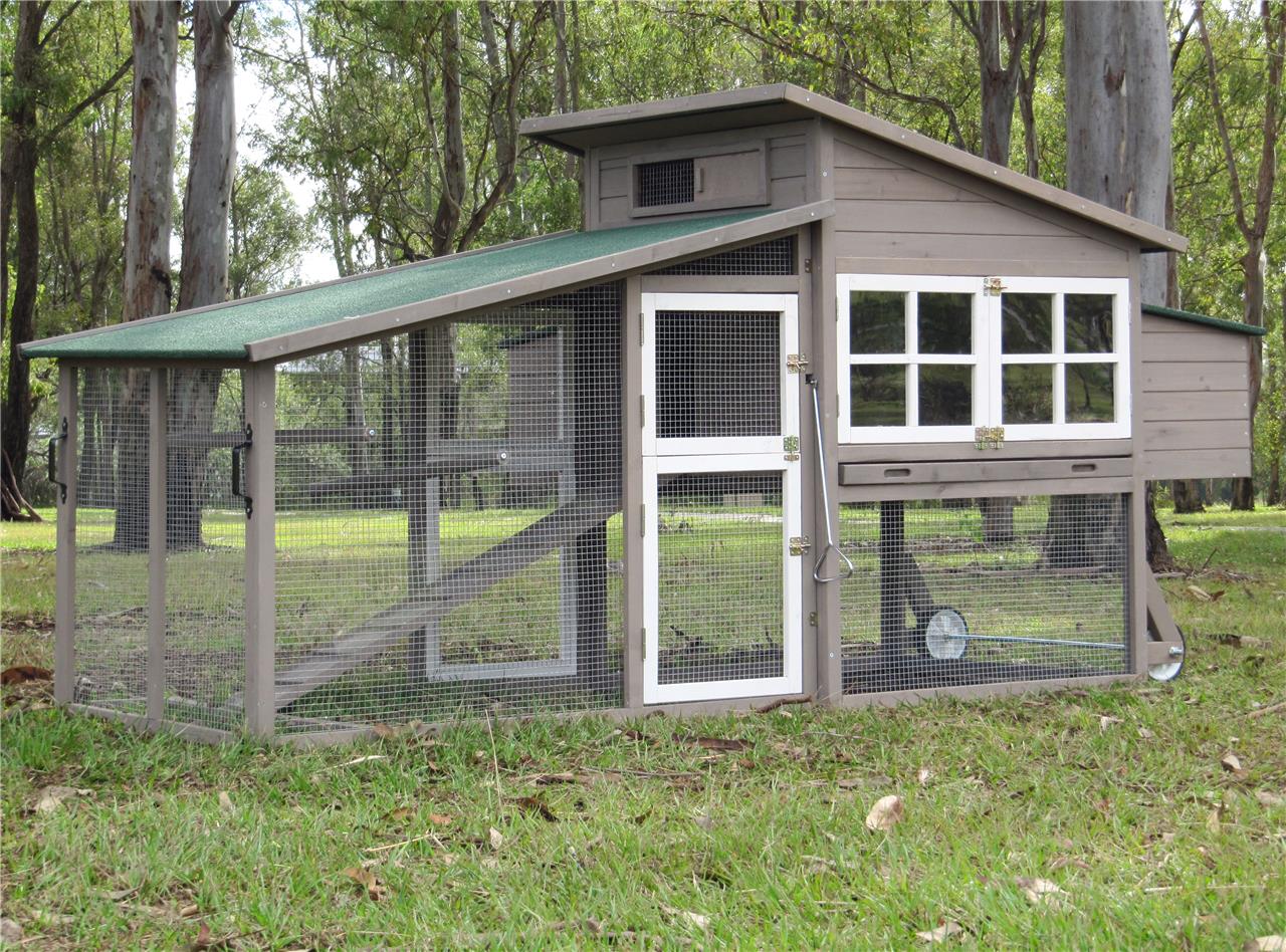 Luxury Cat Enclosure with Run