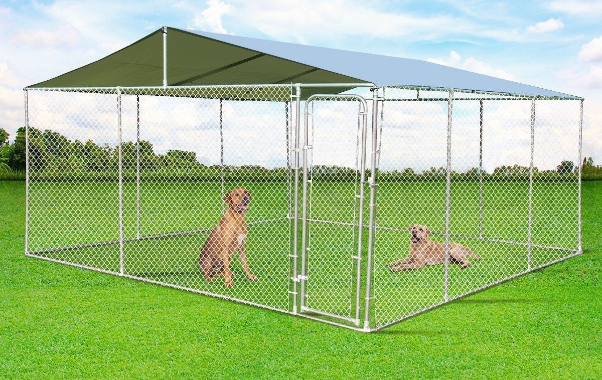 x 4m Steel Dog Enclosure with Roof – Pepperwood Pets