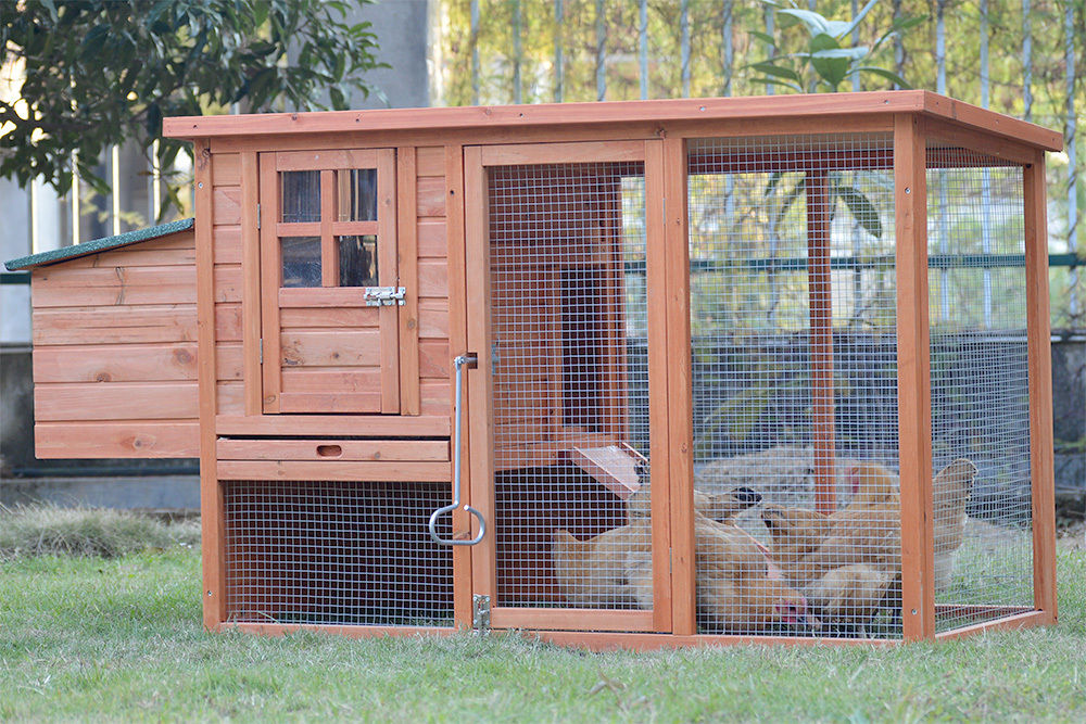 Medium Rectangular Chicken Coop with Run