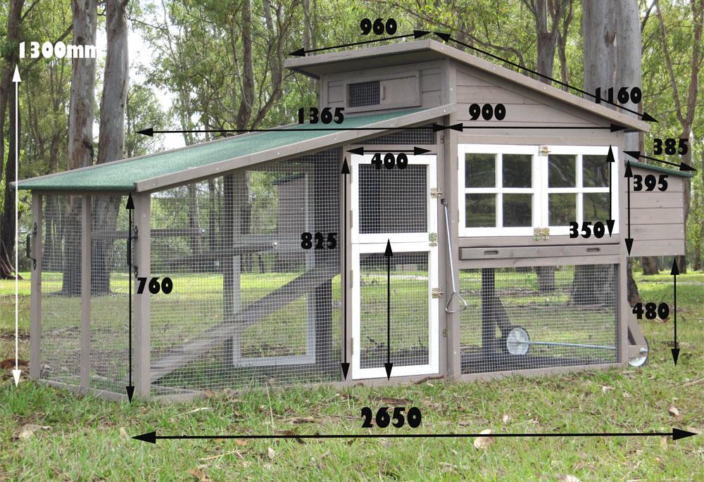 Luxury Cat Enclosure with Run