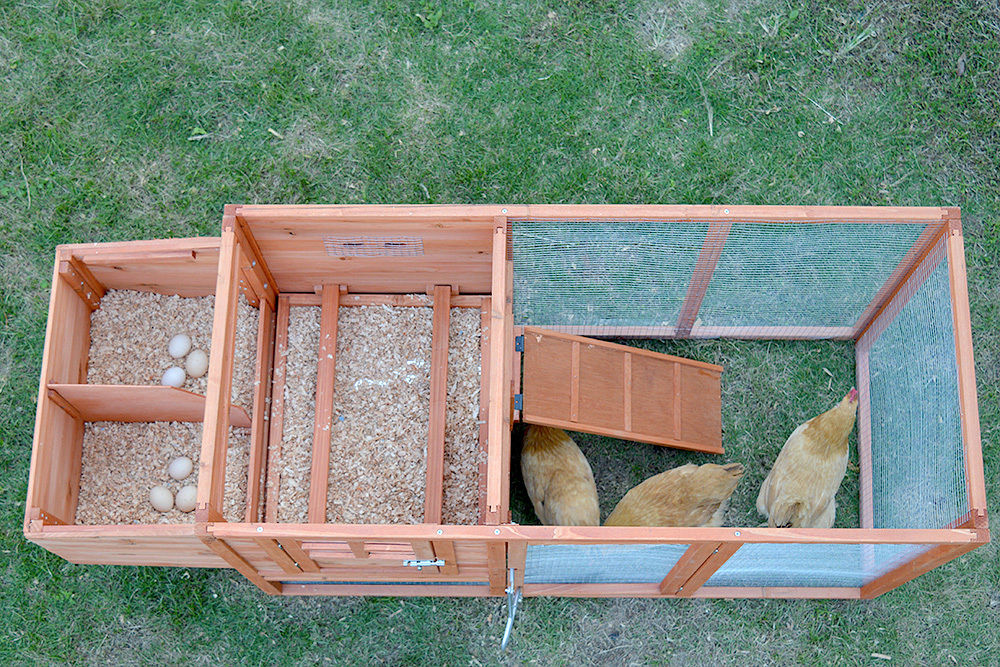Medium Rectangular Chicken Coop with Run