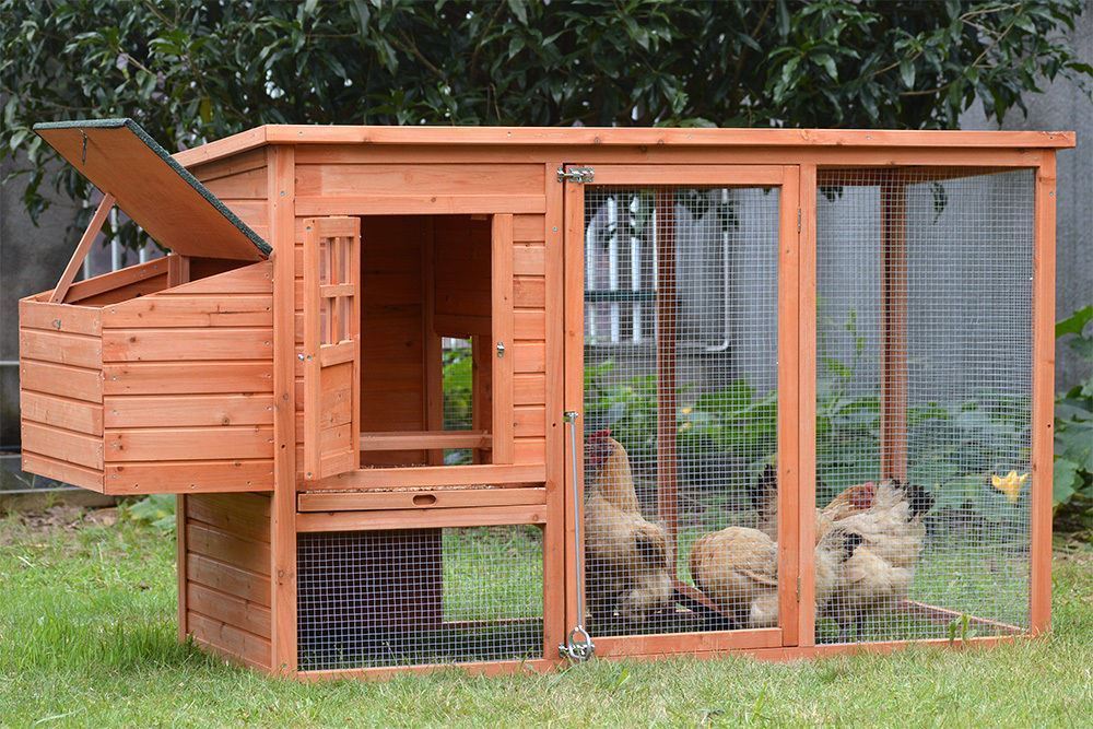 XL Rectangular Chicken Coop with Run