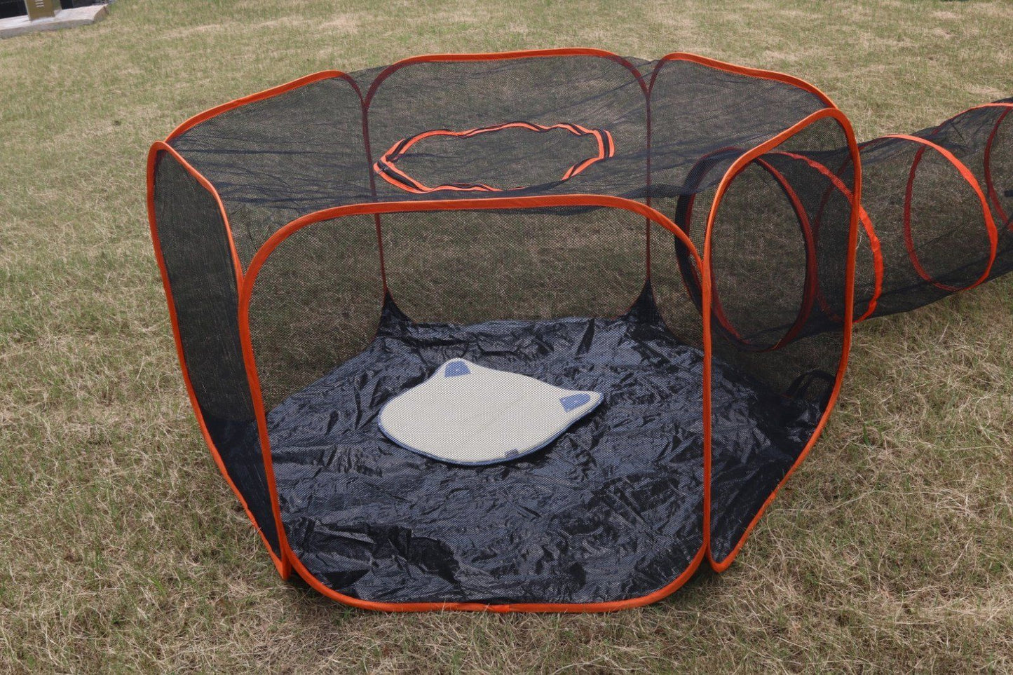 Medium Pop Up Cat Playground