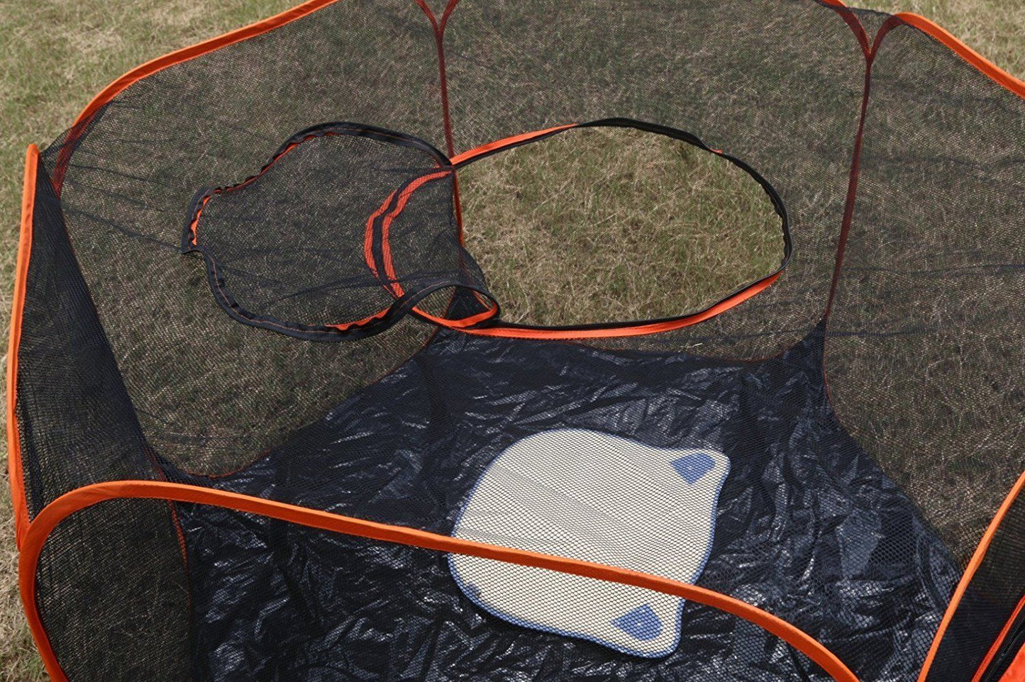 Large Pop Up Cat Playground