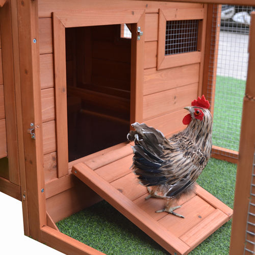 Midi Chicken Coop and Run Combo