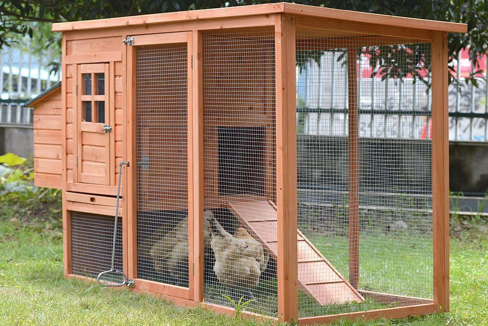 XL Rectangular Chicken Coop with Run