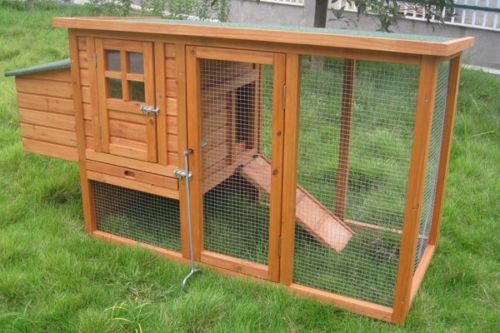 Large Cat Enclosure and Run Combo