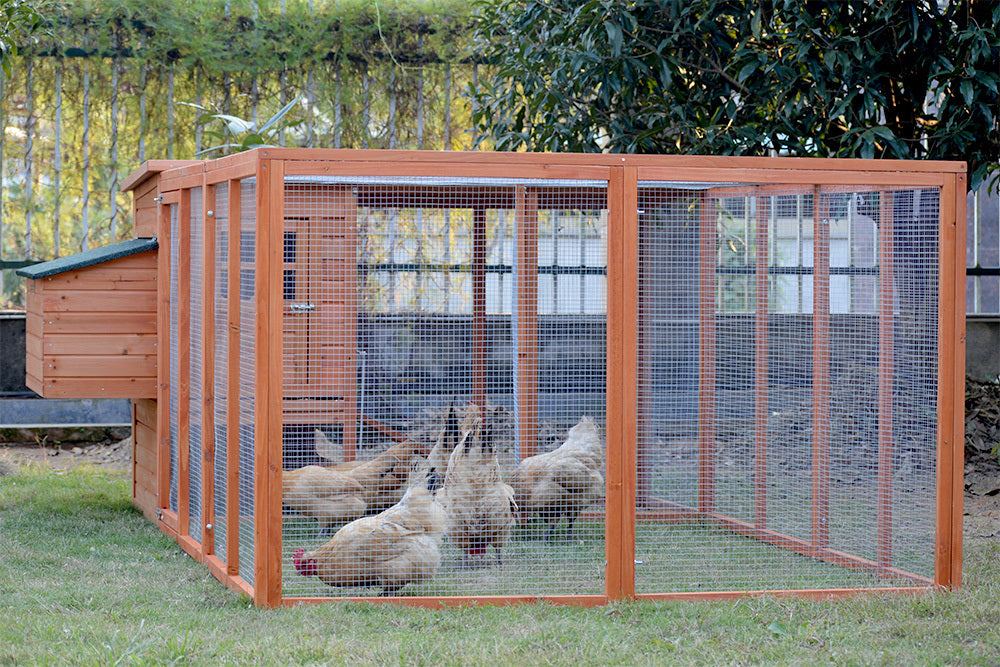 XL Chicken Coop and Run Combo