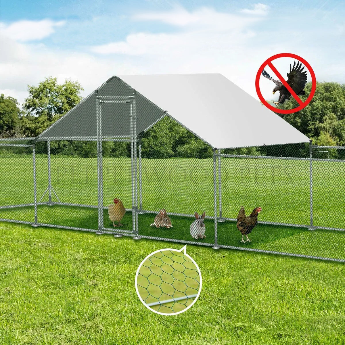 The run is fully enclosed, preventing your poultry from hawks.