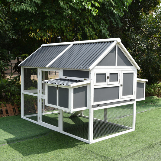 Large chicken coop with a built-in run for foraging space.