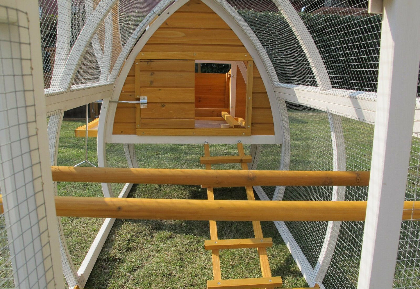 Interior of arch chicken coop, featuring wooden perches and built-in roosting area.