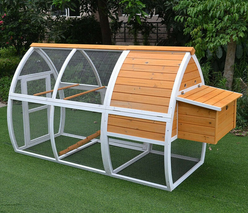 Arch chicken coop with a curved roof design, ideal for keeping hens comfortable and secure.