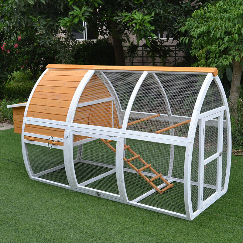 Arch chicken run design with a built-in roosting area and durable wire mesh for protection.