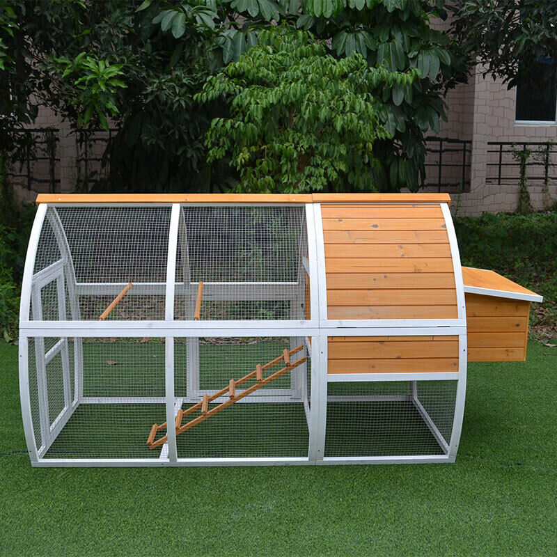 Side view of arch chicken run with easy-access doors and built-in ramp for chickens.