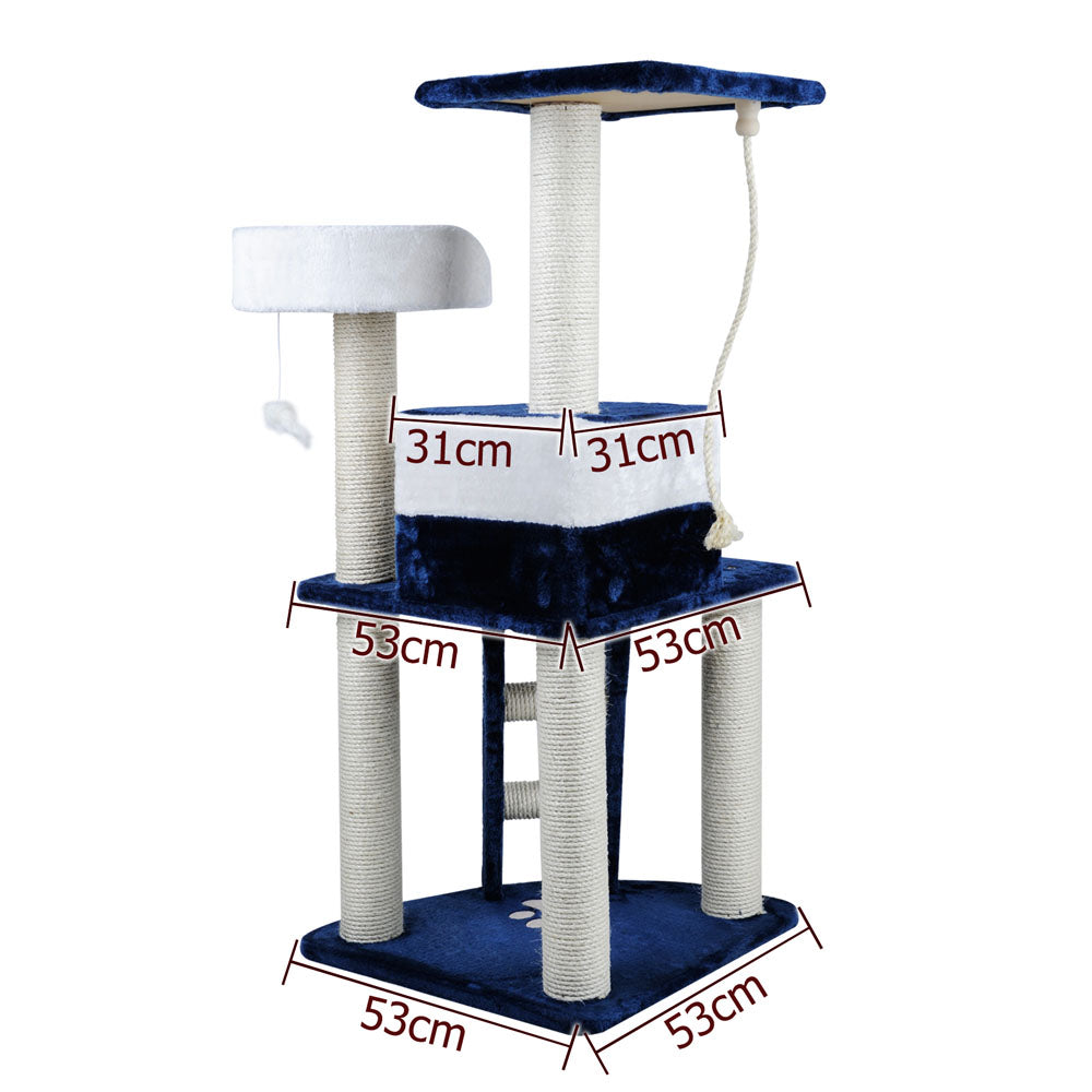 120cm Blue & White Scratcher