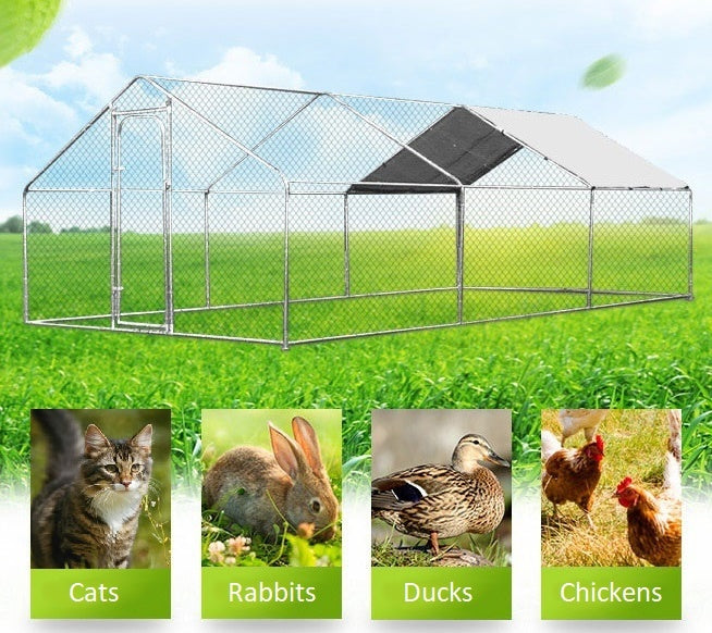 Outdoor 6x3m catio suitable for cats, rabbits, ducks, and chickens