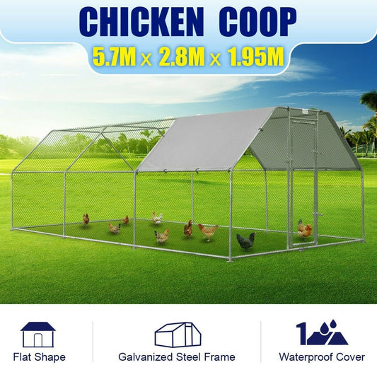Chicken coops Australia, featuring a massive 5.7m x 2.8m space for free ranging.