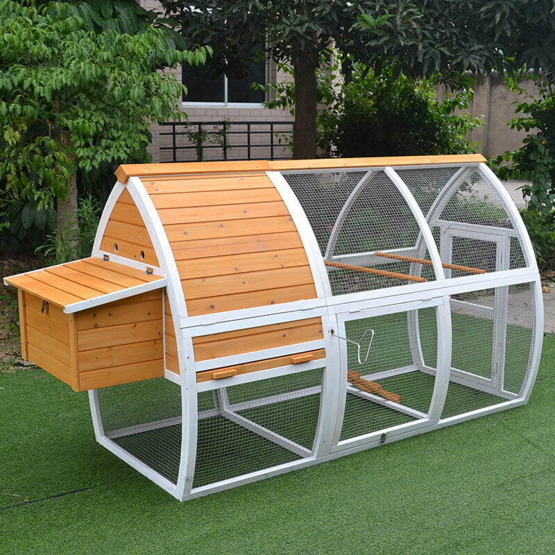 Side view of curved chicken coop with attached nesting boxes and elevated roosting area.