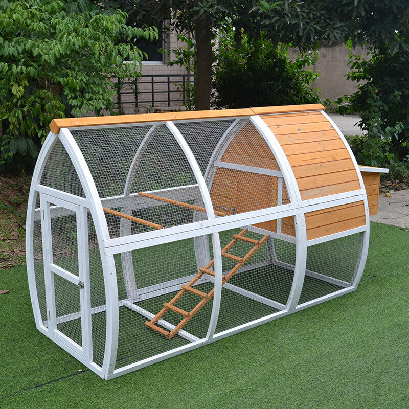 Front view of flat pack chicken coop with arch design, spacious run, and wire mesh for protection.