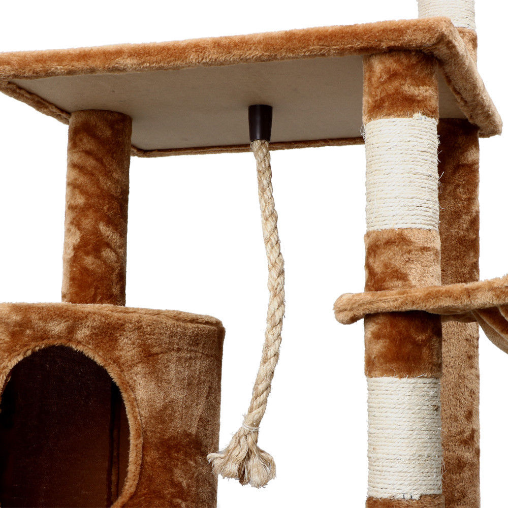 158cm Brown Scratcher
