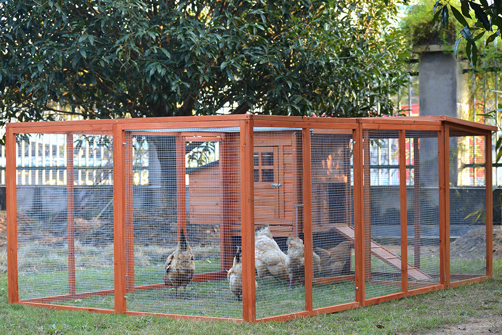 XL Chicken Coop and Run Combo