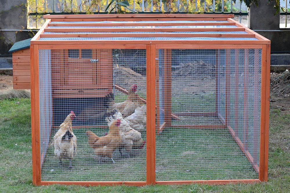 XL Chicken Coop and Run Combo