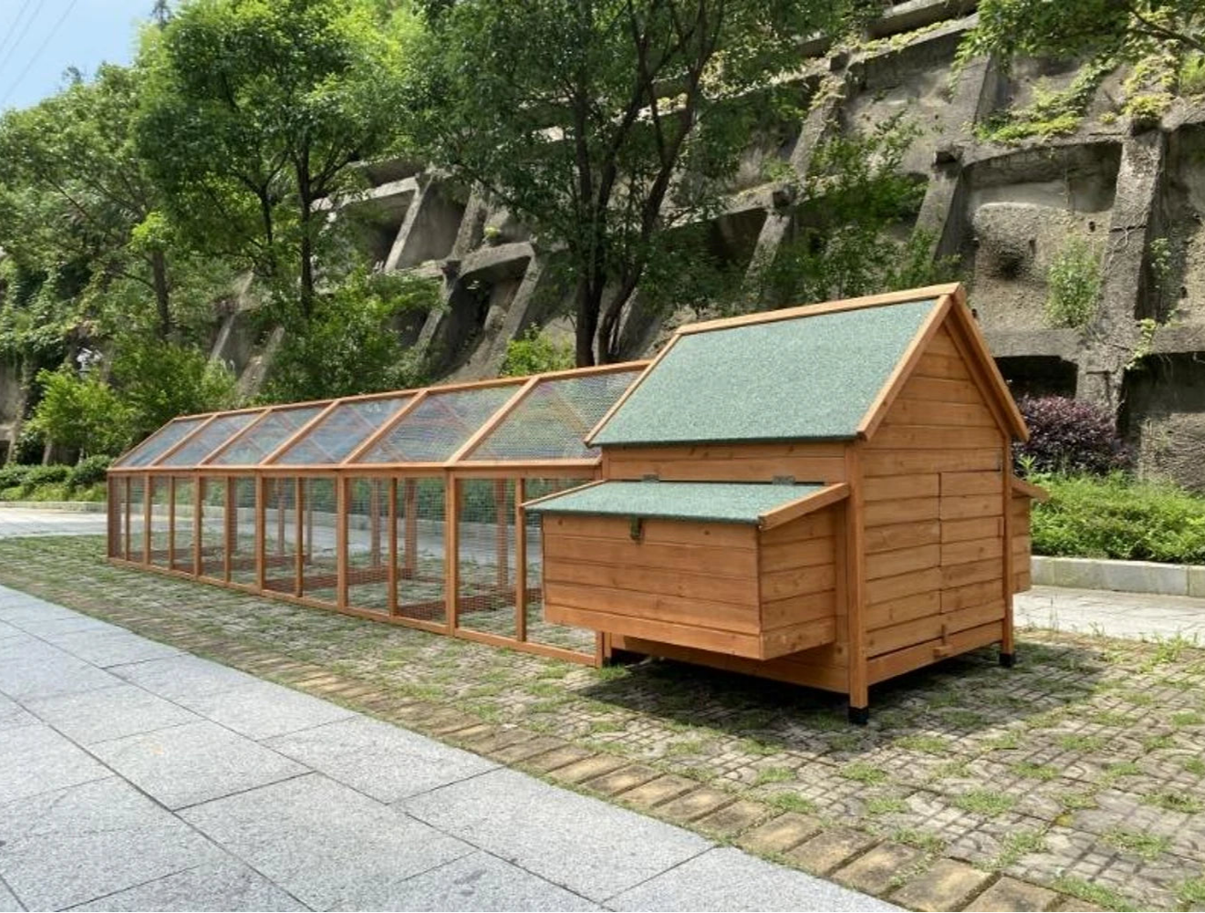 Large chicken run, providing plenty of space for backyard hens to roam.