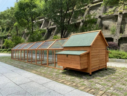 Large chicken run, providing plenty of space for backyard hens to roam.