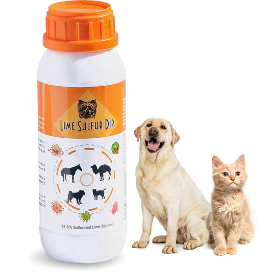 Lime Sulfur Dip for dogs and cats, effective for treating fungal infections, mange, and bacterial skin conditions, featuring an orange-capped bottle.