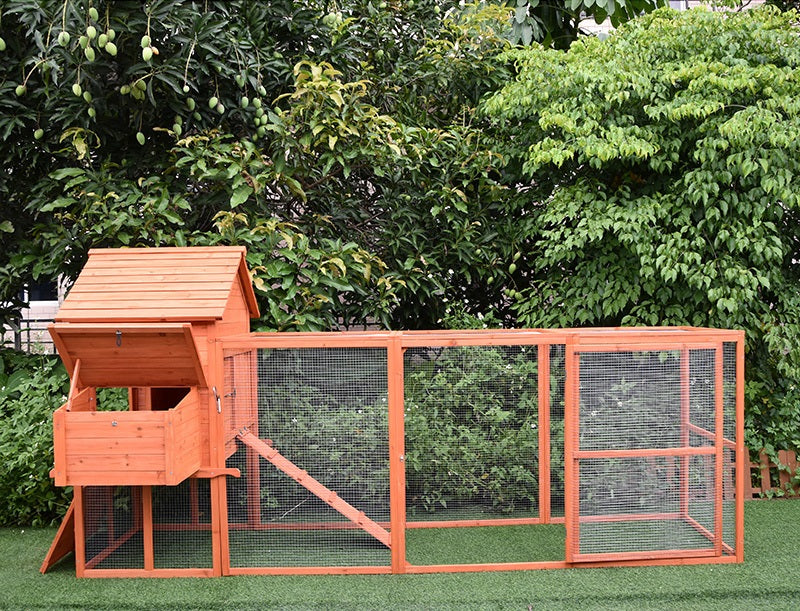 Side view of chicken coop and run showing the spacious 3.1m design.