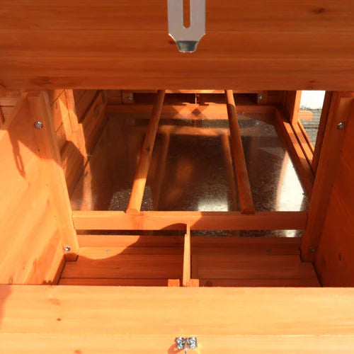 Interior view of chicken coop showing two wooden perches and spacious nesting area.