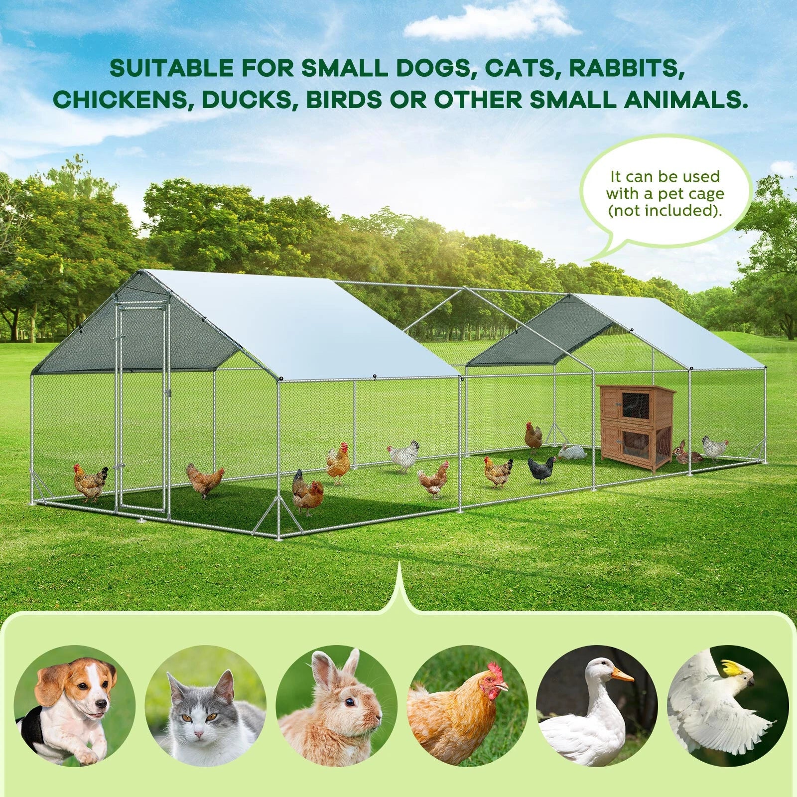 Chicken enclosure providing a safe and spacious area for free-range hens.