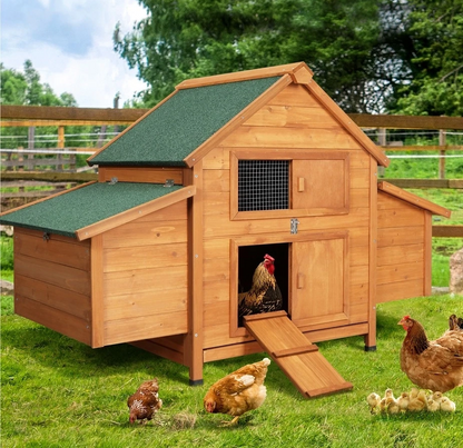Chicken coops for sale, built for happy hens.