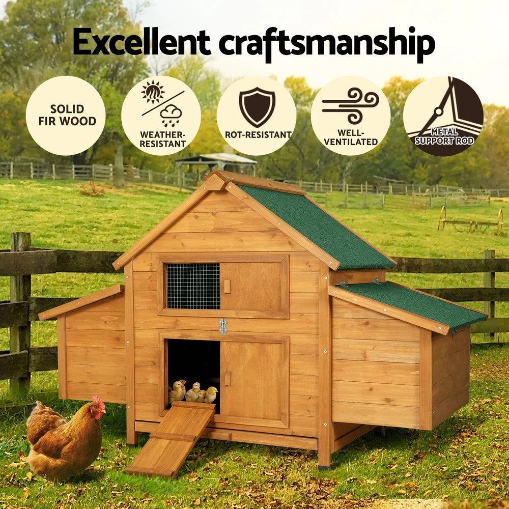 Hen houses, crafted from weather-resistant solid fir wood.