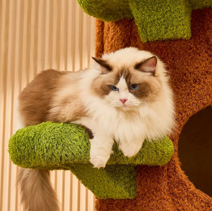 Cat relaxing on mossy green platform of cat tree.