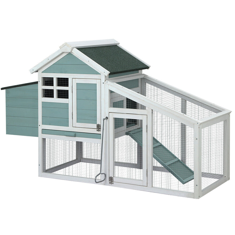 Small chicken coop, featuring an eye-catching teal design.