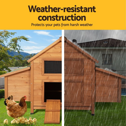 Constructed from weather-resistant fir wood to protect your chooks from harsh weather.