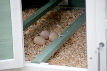 Classical Chicken Coop with Run