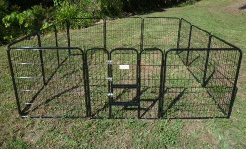 XL 12 Panel Dog Enclosure (80cm High)