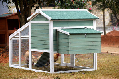 Classical Chicken Coop with Run