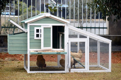 Classical Chicken Coop with Run