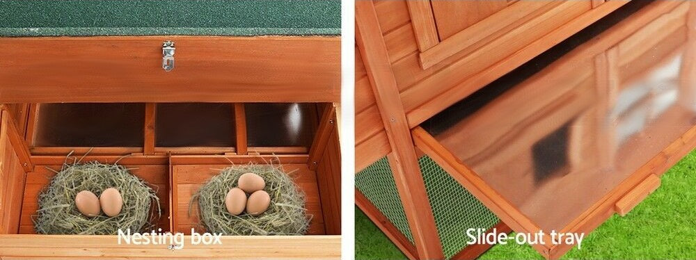 Luxurious Chicken Coop and Run Combo