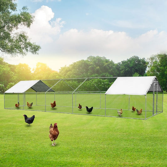 Spacious 10x3m walk-in chicken run set up in a backyard, featuring UV-treated waterproof roof covers and chickens inside the enclosure.